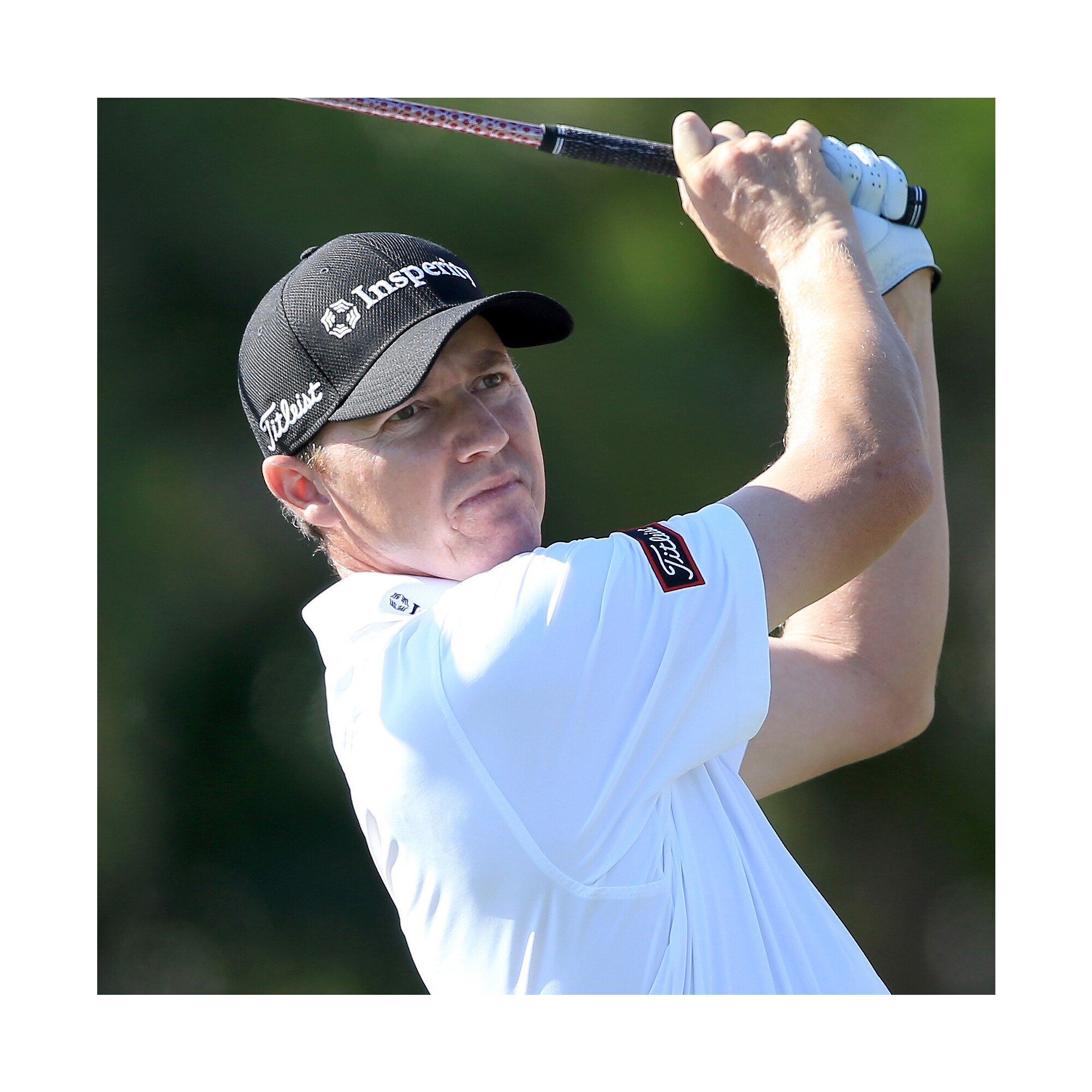 Solid Lisle Knit Collar