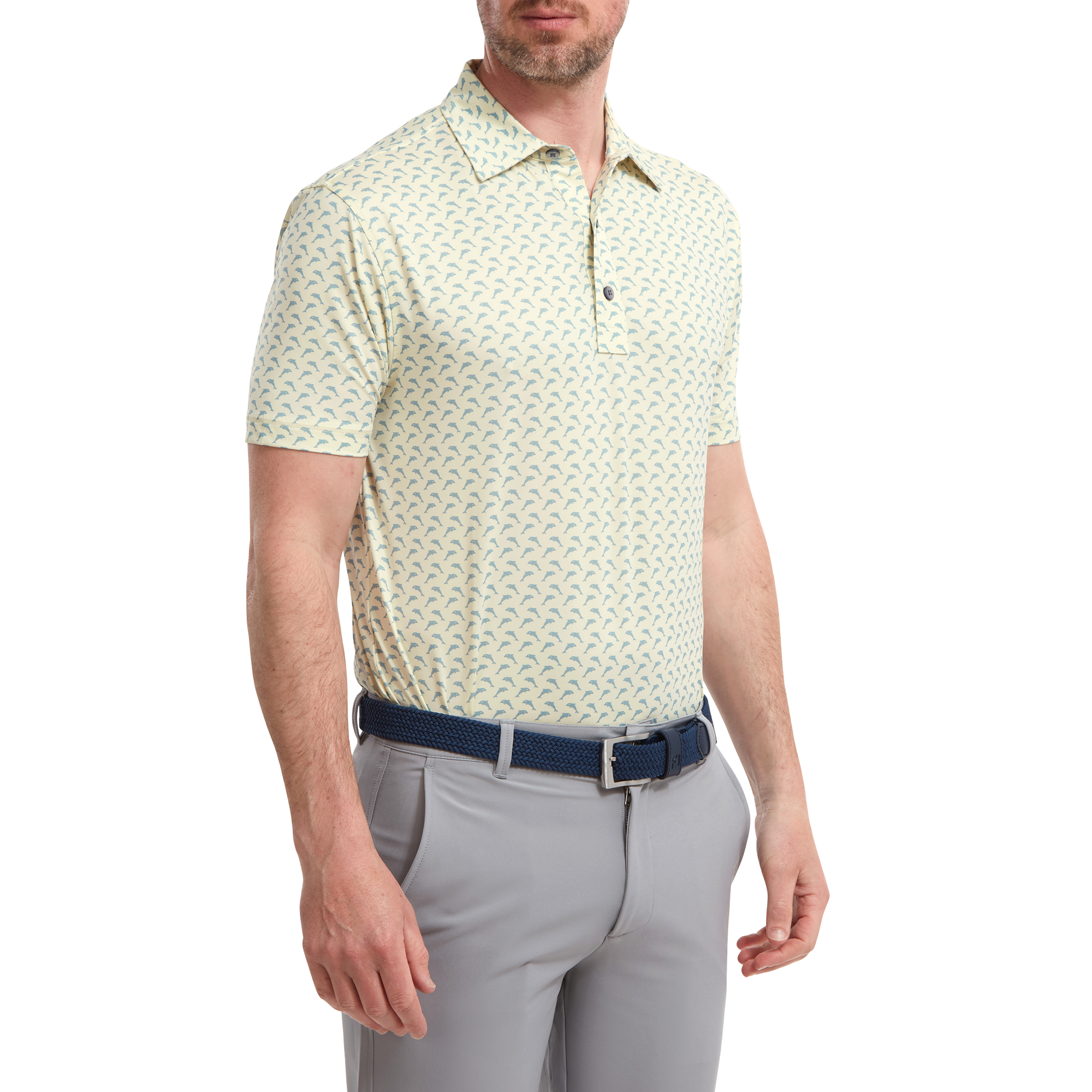 Leaping Dolphins Print Lisle