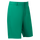 FJ Par Golfshorts