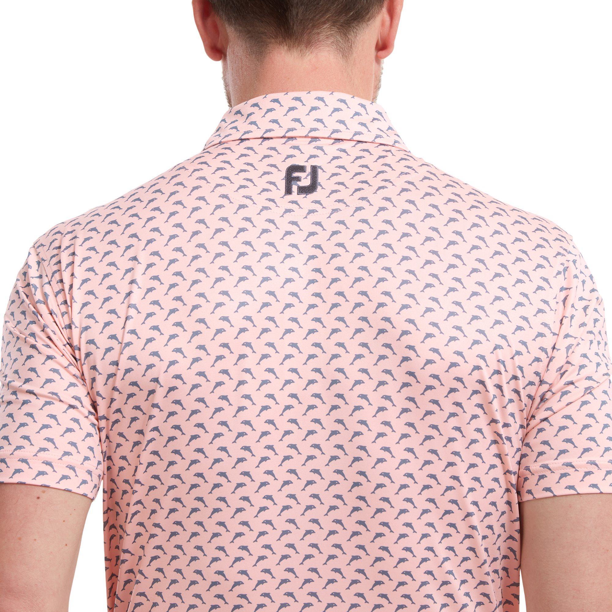 Leaping Dolphins Print Lisle