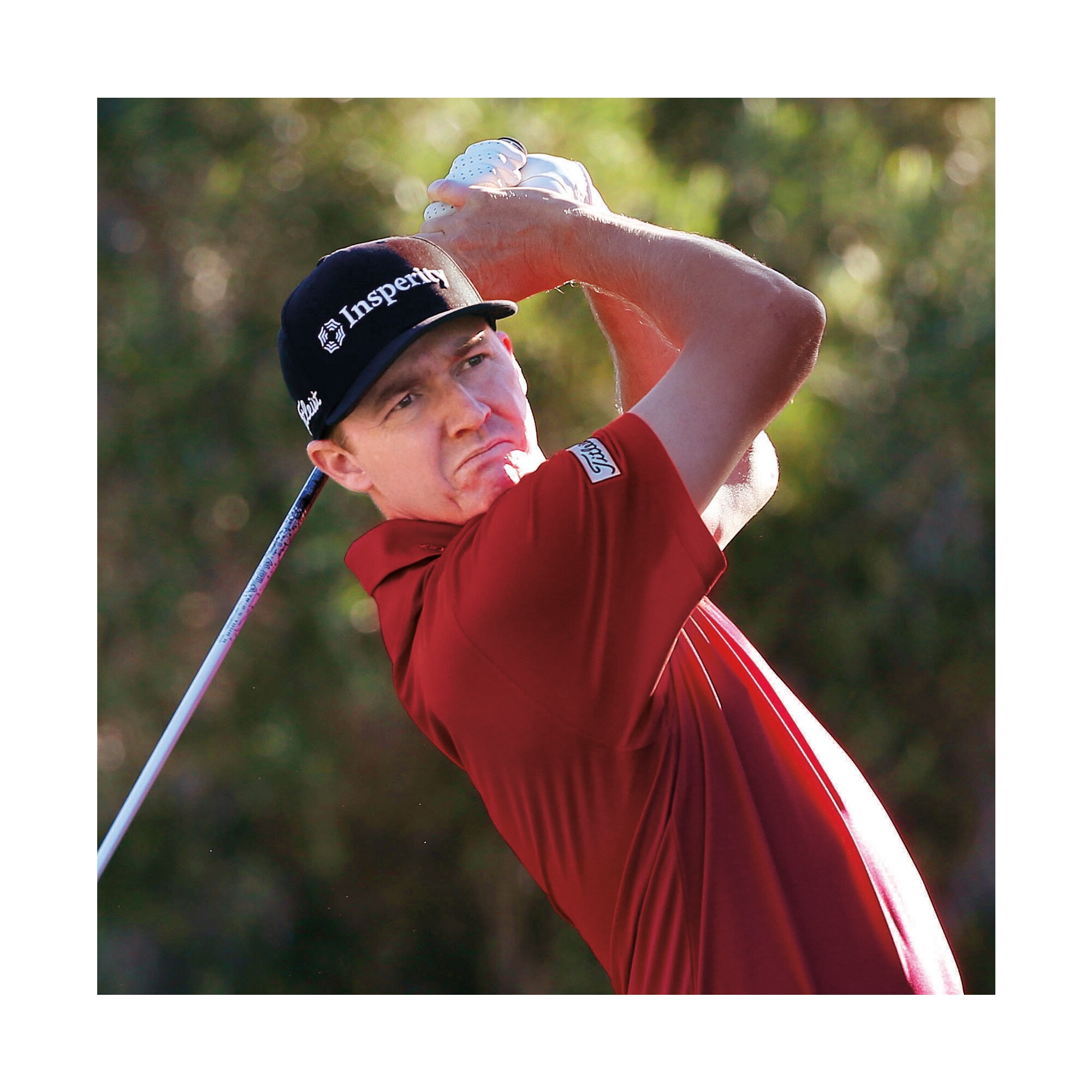 Solid Lisle Knit Collar