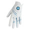 White/Light Blue