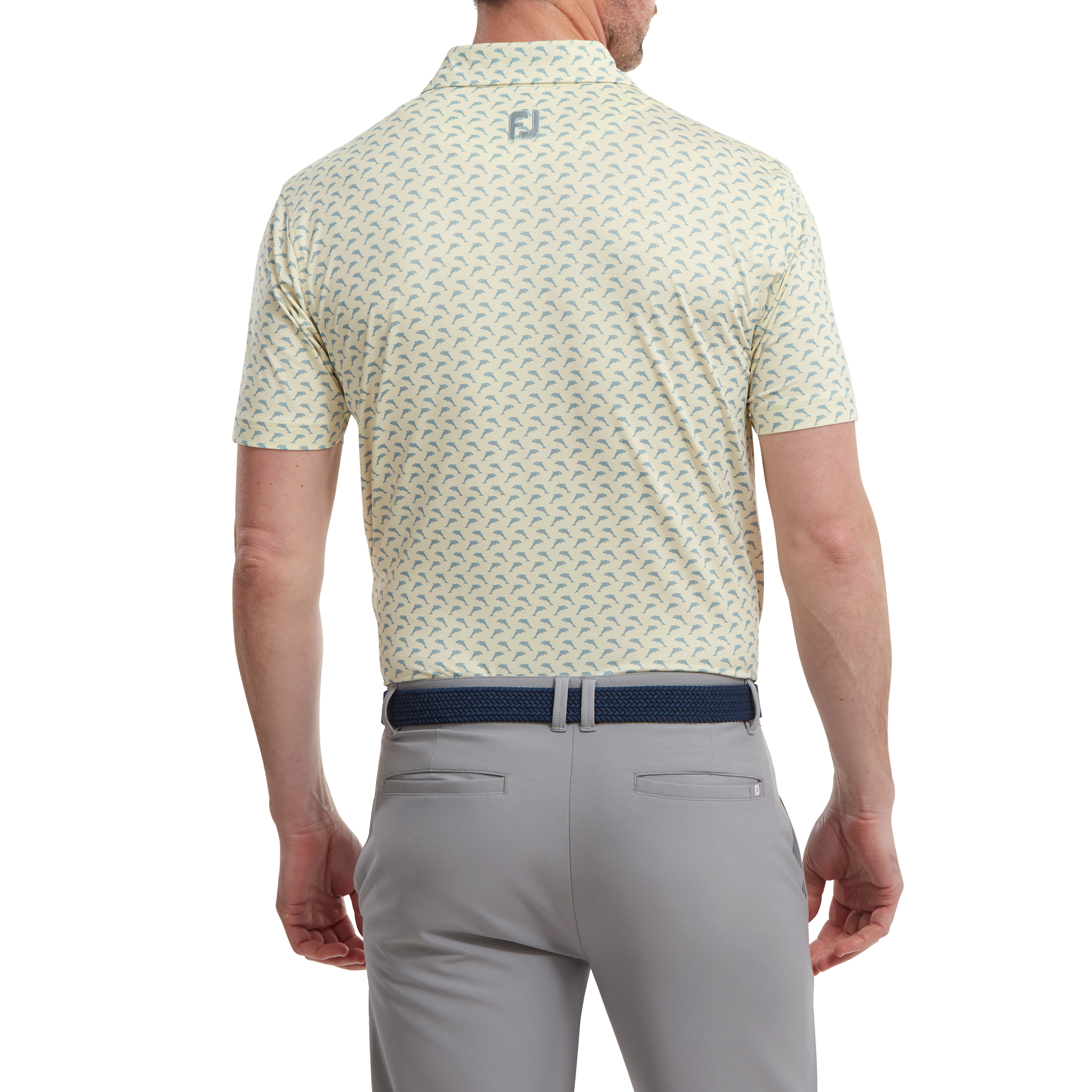 Leaping Dolphins Print Lisle